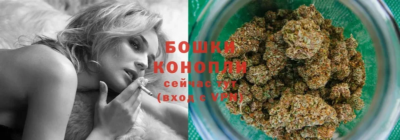 Бошки Шишки семена  купить   Ижевск 